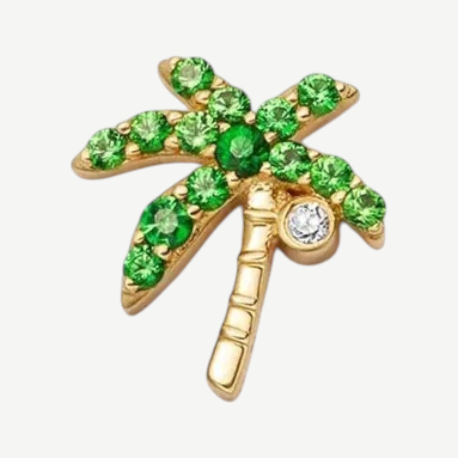 Palmera